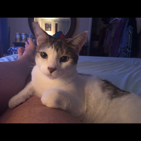 Meet your Posher, Stephanie - Picture 1 of 1